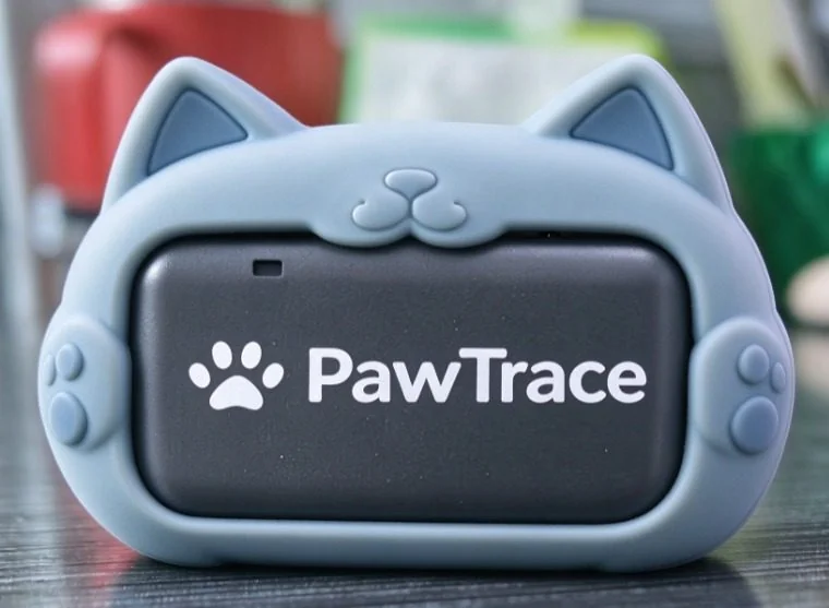 WhiskerTrail CT-10 GPS tracker — grey